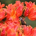 Linda Conway Photo 14