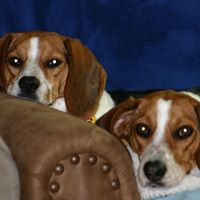 Susan Whitlock Photo 23