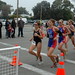 Julie Whipple Photo 8