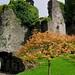 Sandra Castle Photo 8