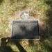 Billy Mckinley Photo 13