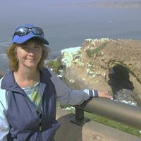 Robin Sisco Photo 8