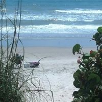 Debbie Gamble Photo 45