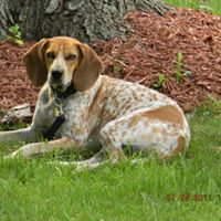 Deborah Elmore Photo 10