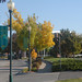 Philip Wilcox Photo 14
