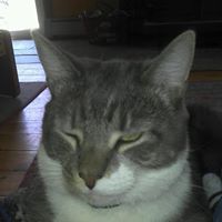 Patricia Truax Photo 10