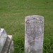William Potts Photo 29