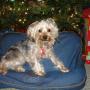 Mary Baxley Photo 17