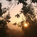 Dawn Hansen Photo 28