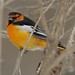 Mark Bullock Photo 33
