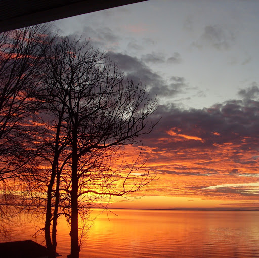 Dave Fortier Photo 9