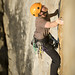 Joel Murray Photo 44
