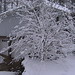 Brian Hudgins Photo 28