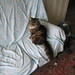 Douglas Matthews Photo 26