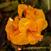 Peggy Lowe Photo 20