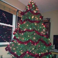 Donna Wells Photo 23