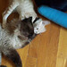 Fred Farley Photo 3