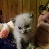 Nancy Bradshaw Photo 20