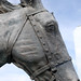 Robert Summers Photo 13