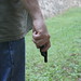 Joe Goins Photo 25
