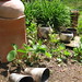Susan Needham Photo 17