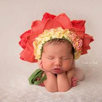Debbie Laughlin Photo 23