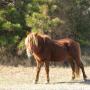 Terry Beach Photo 20