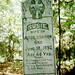 Susan Creech Photo 19