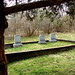 Marshall Carr Photo 29