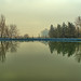 Misty Day Photo 17