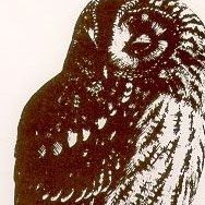 Kathleen Tanner Photo 11