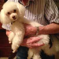 Barbara Chafin Photo 4