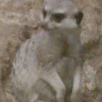 Judith Lester Photo 33