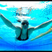 Ellen Short Photo 15