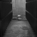 Martin Montero Photo 24