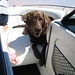 Carol Powell Photo 12