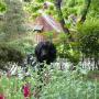 Nancy Wiegand Photo 14