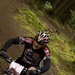 Todd Allison Photo 37