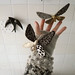 Sandra Moths Photo 2