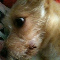 Sin Chan Photo 15
