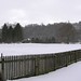 Pat Snow Photo 11