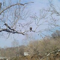 Donna Blevins Photo 27