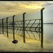 Daniel Borders Photo 15