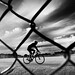 Jerry Webb Photo 10
