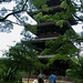 Nancy Temple Photo 33