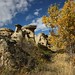 Alberta Stone Photo 5