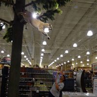Tracy Fridley Photo 1