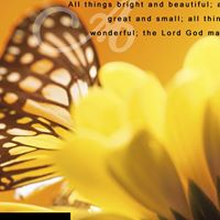 Debra Mcpherson Photo 7