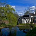 Daniel Mills Photo 15