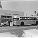 Dorothy Chambers Photo 25